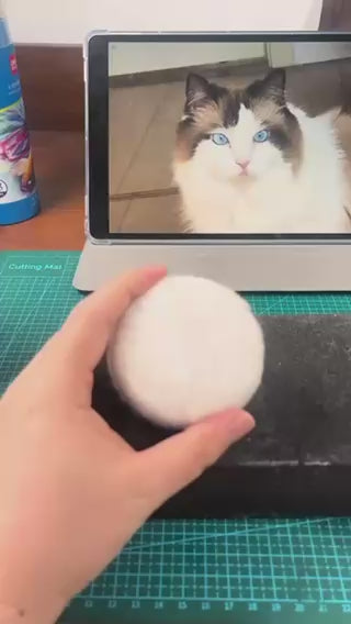Custom Pet Wool Felt Portrait